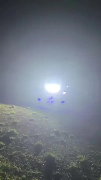 4 foot Whip Lights