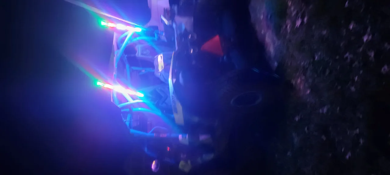 2 foot Whip Lights