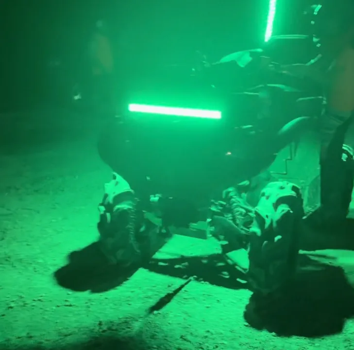 4 Wheeler with Whip Lights